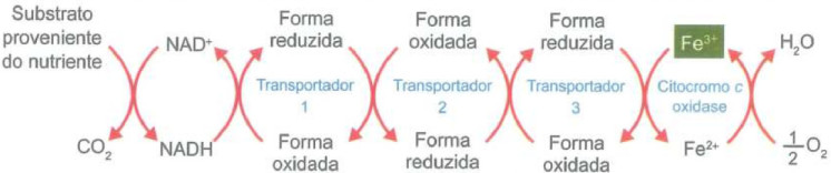 0_80ca5d80654b9cbb334bb72c61b216d2_provas_importacao_154_834e0b2c_a953_405d_9caf_7fb9e7360647.jpg