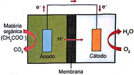 0_ceda560ae712154e27559bc489022c9a_provas_importacao_1013_9f4d09d3_b339_4298_bd0c_dc9f080e9a05.jpg