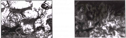 0_1629effcfca1b36911f5271de0d18da3_250149.jpg.png