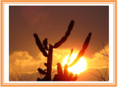 0_7335bec5aa2ff2f96b5247e424502ab0_174746.jpg.png