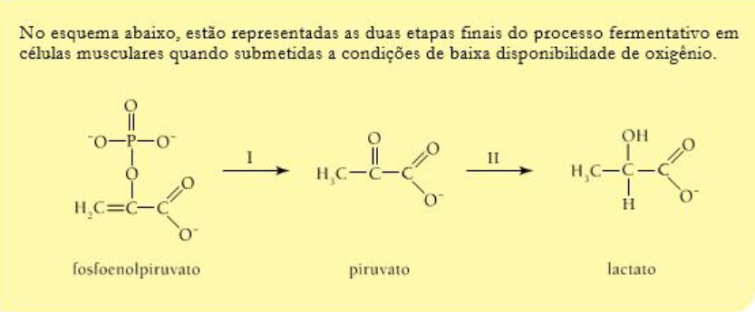 0_7c0f75ac47bd14c34f934cb272248bc8_668.jpg.png
