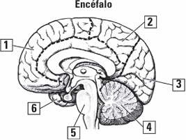 0_9da22181658869ee83ed11951208a89a_234281.jpg.png