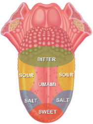 0_a8b4400de9f6cd6553dfd2a8596ea4b6_249807.jpg.png