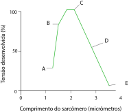 0_d07e1fa1ca658f3a183a37aee862388f_252012.jpg.png
