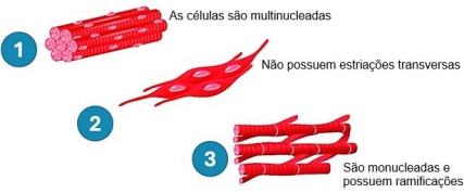 0_e2bf0af9f73d540b2b7d2fb30b9d7f20_257909.jpg.png