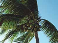 0_007a0be60a08e74518ab46e70c089da6_16362486.jpg.png