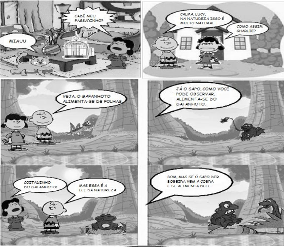 0_04b01a79e7af2bdf530c16bbc357d5fb_11770715.jpg.png
