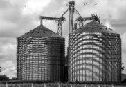 0_0816202b37596cf931124040cad22018_15433644.jpg.png