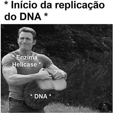 0_0b7f718172081855cca29092fe382f29_14770867.jpg.png
