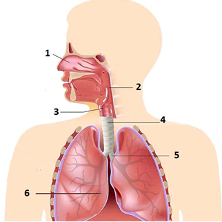 0_0c808e003916b901540b7f191718496d_15013872.jpg.png