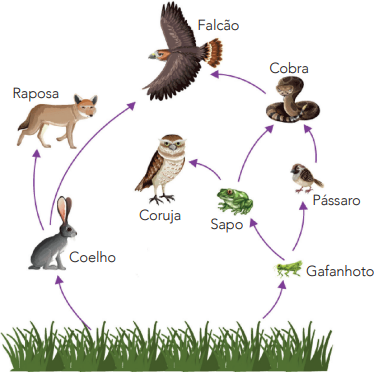 0_0ca7fc3230f8ef30affbc908934c0343_16129468.jpg.png