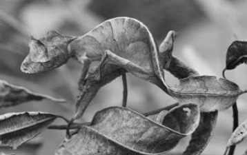0_0d60ec68118f32263d00e75611de86a1_11921625.jpg.png