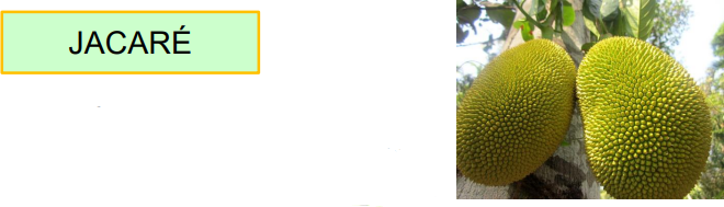 0_0e67af5ad972ba99e1bf5f6a23dbd74b_11422382.jpg.png