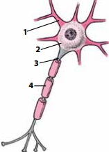 0_0f60b23df2420c12cfa82523c66a60be_16004589.jpg.png