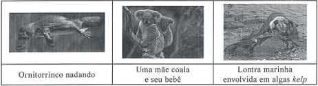 0_10d1f9cff5a51661cc4c80a5bb7ed303_14710028.jpg.png