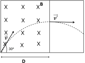 0_10e4ece2ec76ef439b32cebe586832dc_15435246.jpg.png