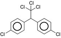 0_116650a558f8871399ab96827f6b0f53_14868309.jpg.png