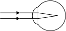 0_127afae7477643a1e979e40f71f6c450_3311632.jpg.png