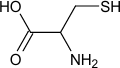 0_13c064e55ac5bf67352764f9c84b7903_15208391.jpg.png