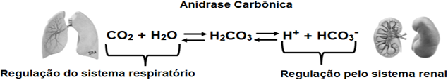 0_13e898c5afce1b092f5c642db21e4abb_14670406.jpg.png