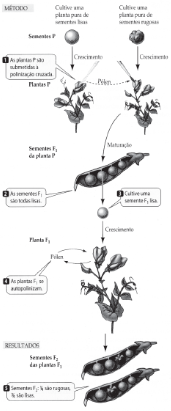 0_140eece4dee28afa016579ba01aa7dfa_11762105.jpg.png