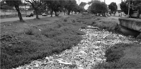 0_141ab25addeb80c2a669172996fc0c54_11770748.jpg.png