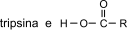 0_153a075b85c5903248d0e984a0bb58d5_16362466.jpg.png