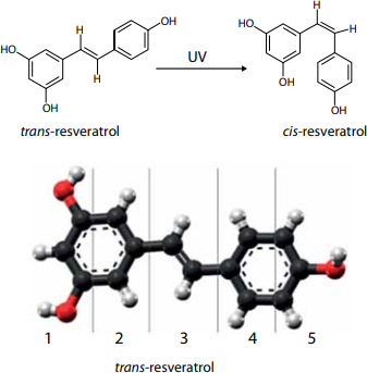 0_163e17d0d567e55cb57c01ce5eac4ab1_16004642.jpg.png