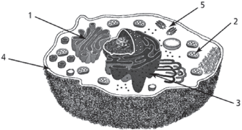 0_16a178fbed9ac060a348c8ae0f99a422_10919158.jpg.png