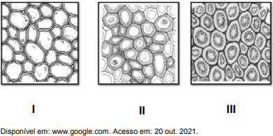 0_17ab40c662b2e77a1315daea675d5214_7155966.jpg.png
