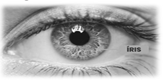 0_18d7a3aa93d8ee0eb7487be05ecb0ca3_15053078.jpg.png