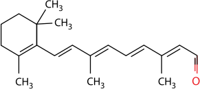 0_191d0a0b6ed1fff79ef720d58ecdc3e5_15977677.jpg.png