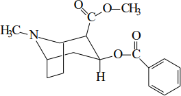 0_1943b3a8786fbef2bf846d099fbc3fe9_7657994.jpg.png