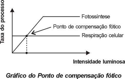 0_1a086dc0ad07e030506caa0f1d781efe_16239416.jpg.png