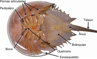 0_1a1ab591969602945e98adc810e8ce08_15268849.jpg.png