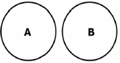 0_1a894cd2cac5ef8401b60b6c2d4a6eaa_11840813.jpg.png