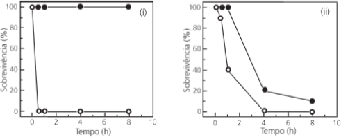 0_1ac8e756ed376d46420d52b6773a071f_16389998.jpg.png