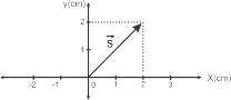 0_1baf219d2e2c410a71d943ed14f7a64f_15433572.jpg.png