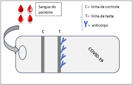 0_1c4eaf6c4c624cd7c42f80061b4ed9a2_11683671.jpg.png