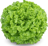 0_1d9b41d299725f7385ec6fafe7b473ad_12072219.jpg.png