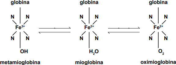 0_1e1a082f70cffbda1c8e09d40daee56d_15365876.jpg.png