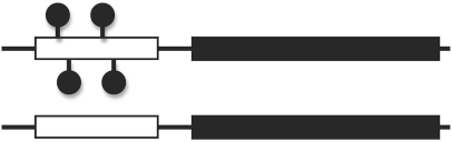 0_21b081883f7c1eccd08571def790dd02_16199715.jpg.png