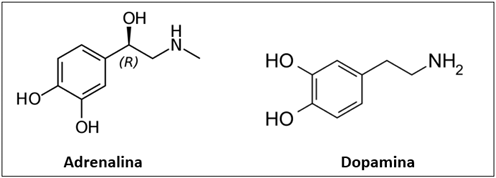 0_238ea62dbbd47f94eab8a7b89e4e751e_14571056.jpg.png