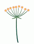 0_2542aa0a0daaa580228b3b5e88275d16_369558.jpg.png