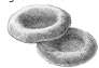 0_25989590ee72ff1f6ee7b57bad1586ae_11761850.jpg.png