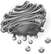 0_25dfe18bac315253772edd09a9493f33_16418356.jpg.png