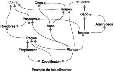 UEFS 2013/2 O esquema representa, de forma simplificada, uma variedade ...