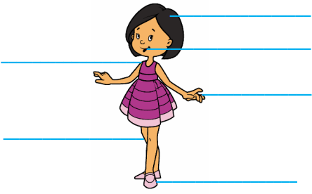 0_2c982403ebe4360048a6a6f772e4e54e_11393296.jpg.png