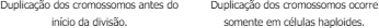 0_2ccda9acbe61f18153e6ca5714cedd18_11761765.jpg.png