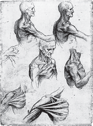 0_2fd5374f05677a2968fee69f1f1a7dda_14593716.jpg.png